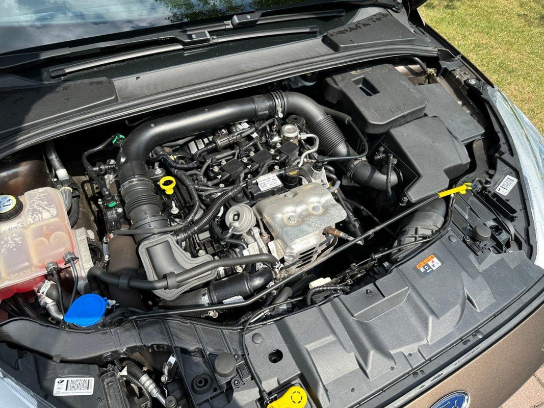 Ford Focus foto 18